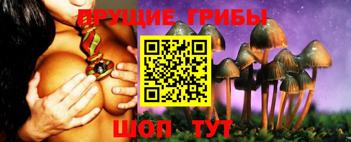 Конопля  Гашиш  КОКАИН  Меф   Саратов  Вход с VPN 