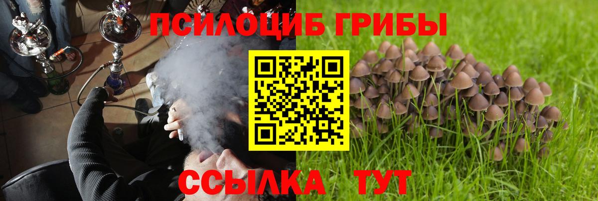 закладки  Вход с VPN  Саратов  Галлюциногенные грибы Psilocybine cubensis  Псилоцибиновые грибы Psilocybe 
